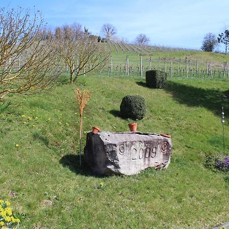 Ferienwohnung Am Weinberg Oberkirch  Esterno foto