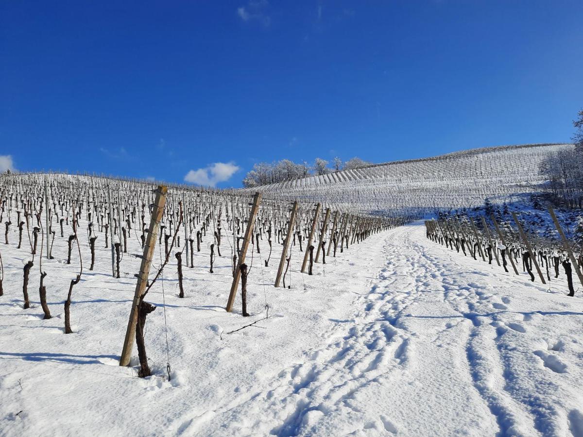 Ferienwohnung Am Weinberg Oberkirch  Esterno foto