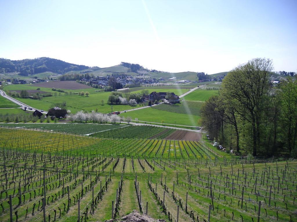 Ferienwohnung Am Weinberg Oberkirch  Esterno foto